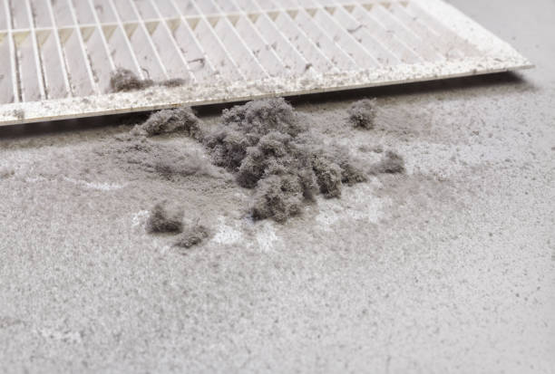 Best Air Duct Cleaning Near Me  in Asotin, WA